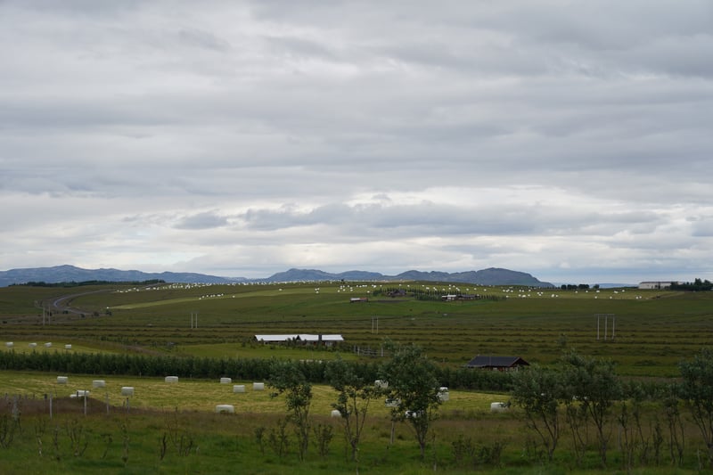 Iceland Part 1 photo 6