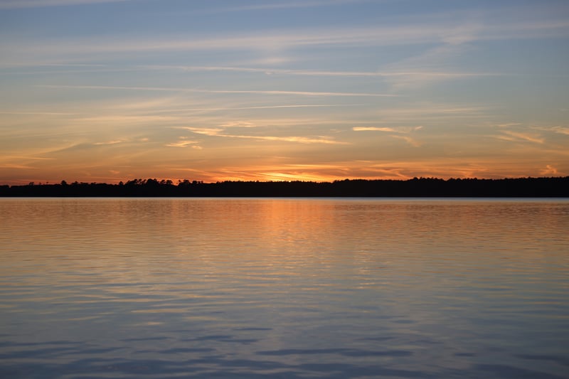 2021 photo 16