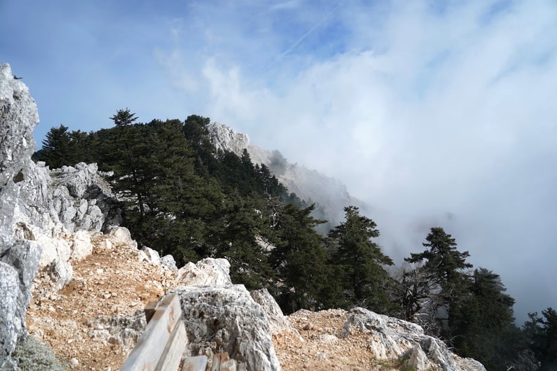 Argostolion, Kefalonia, Greece photo 6