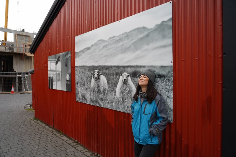 Iceland Part 3 photo 9