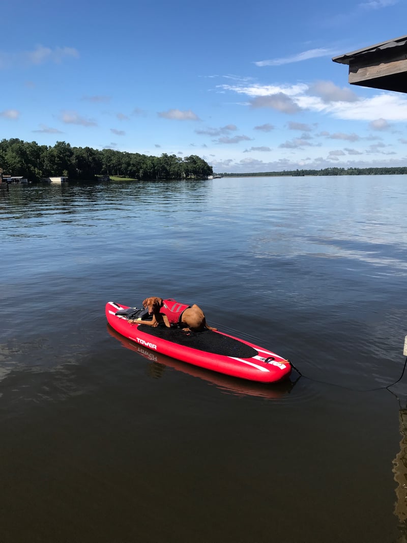 Summer 2019 photo 10