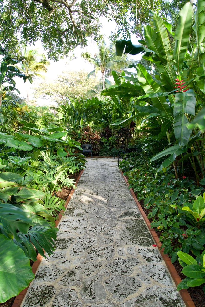 January 2019 photo 12