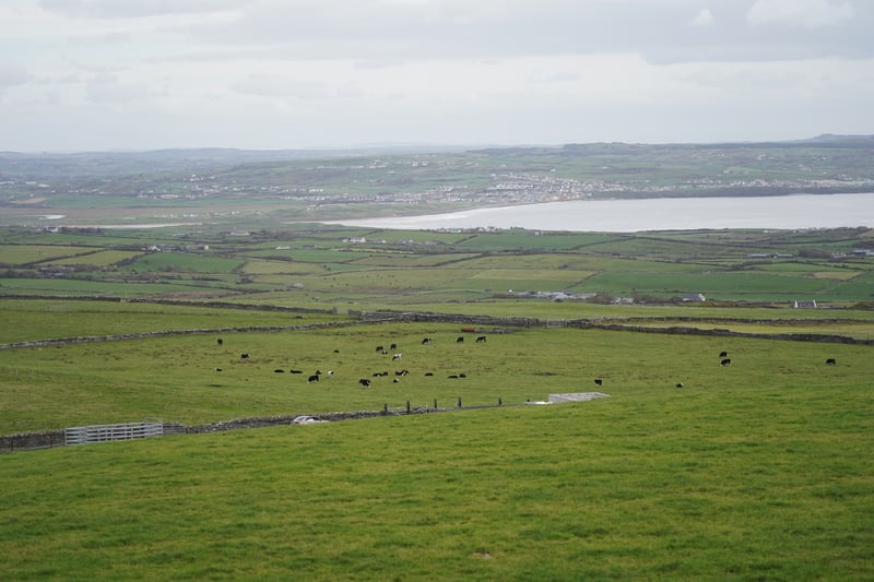 Cliffs of Moher, Ireland photo 8