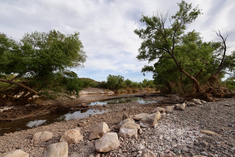 2023 in Arizona photo 4