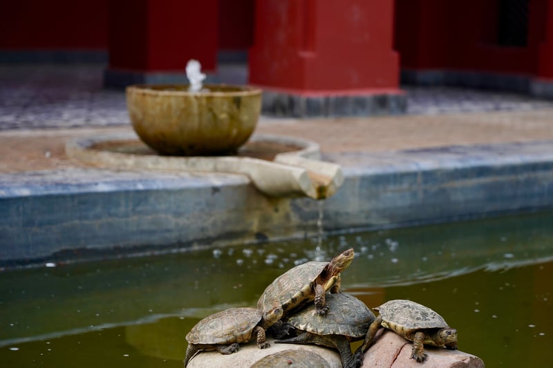 Marrakech, Morocco photo 11