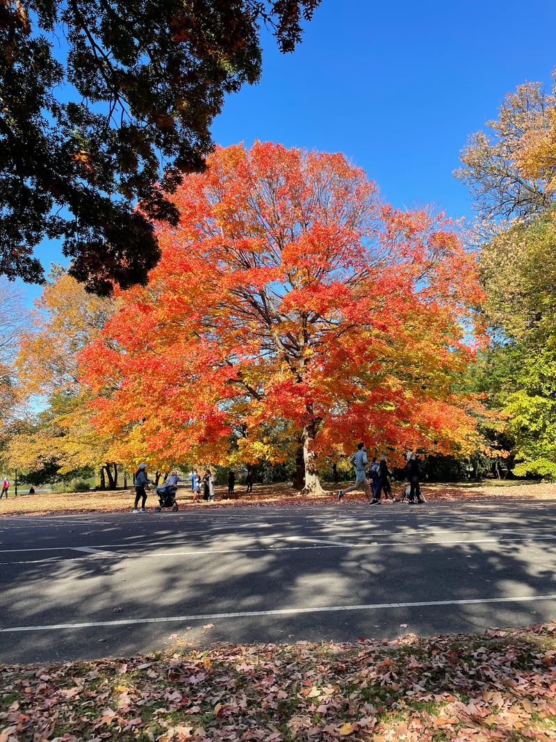 2021 photo 15
