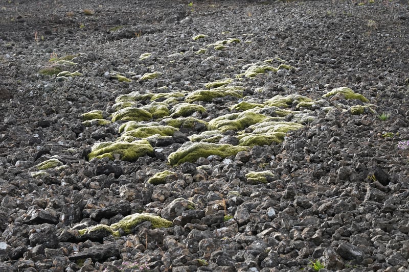 Iceland Part 3 photo 17