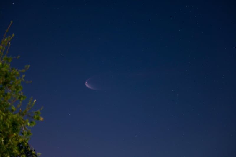 2020 photo 26