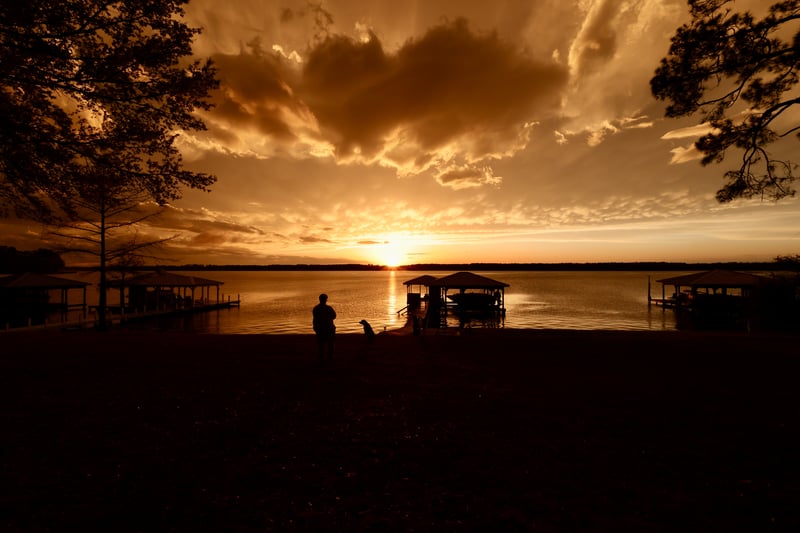2022 photo 5