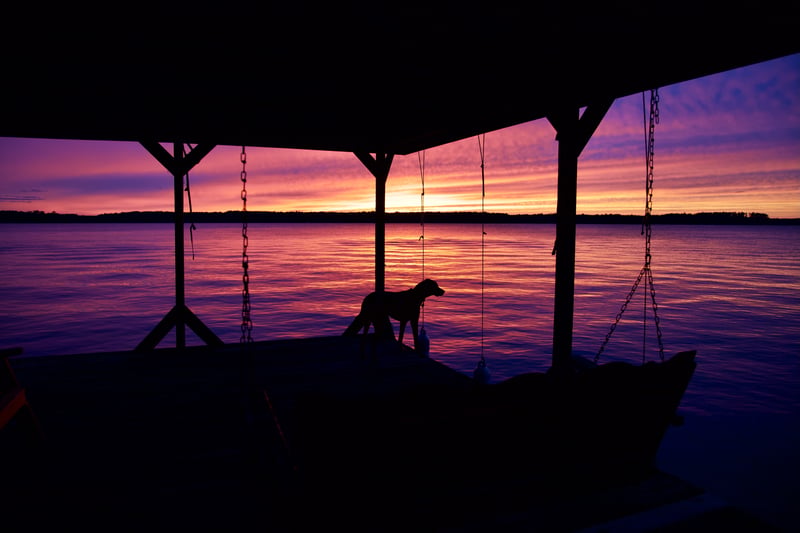 Sunsets of 2020 photo 4
