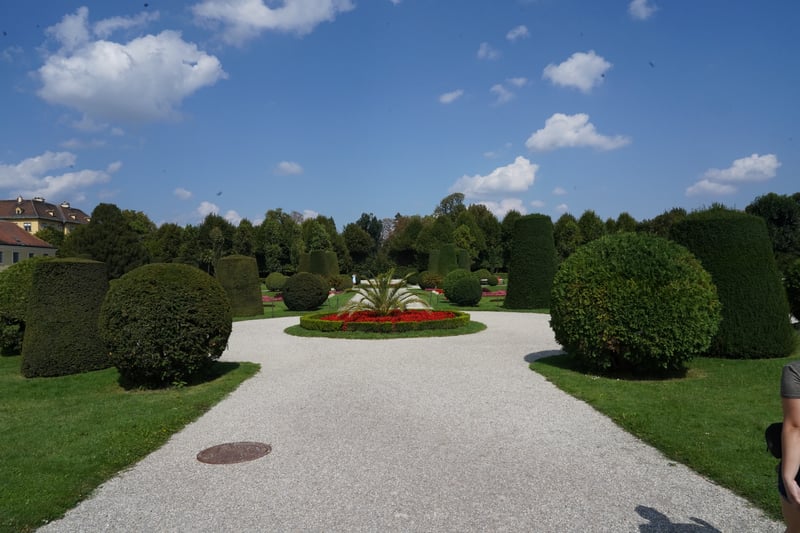 Vienna photo 7