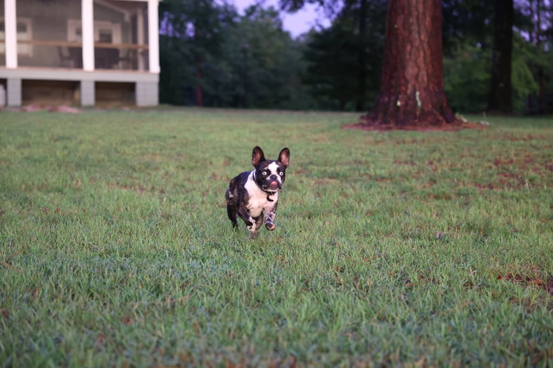 2023 in Georgia photo 8
