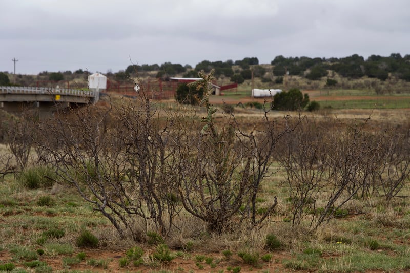 Route 66 photo 9