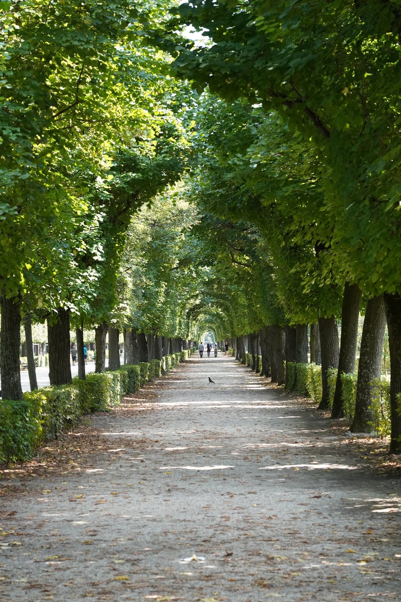 Vienna photo 8