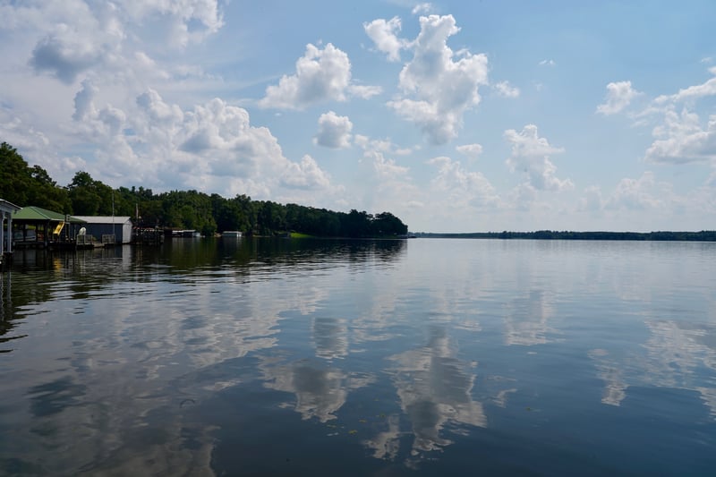 Summer 2018 photo 20