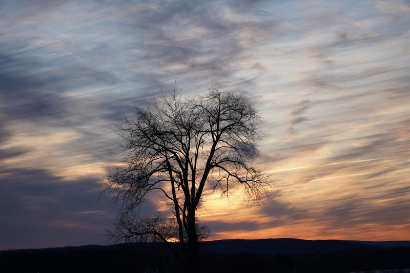 Storm King photo 20