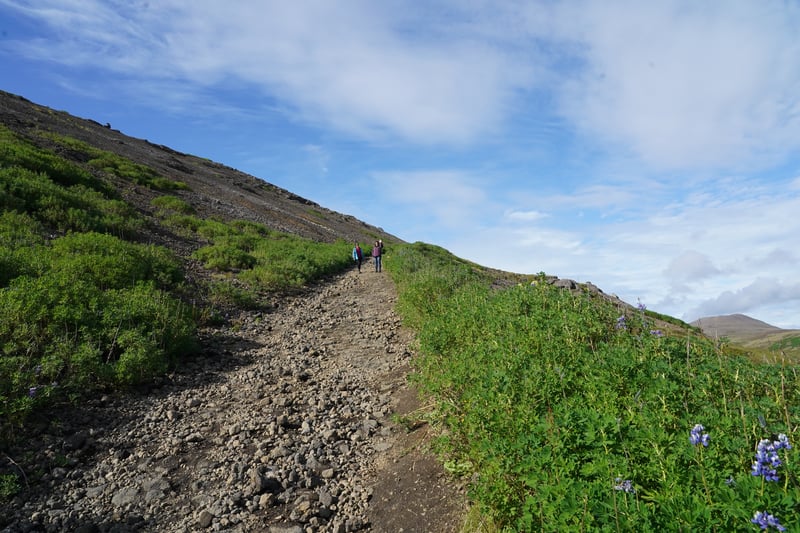 Iceland Part 3 photo 16