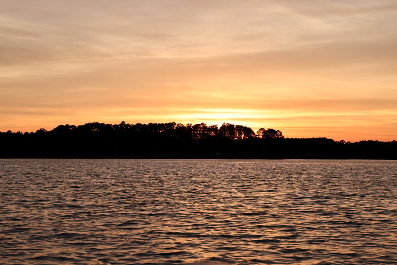 2022 photo 7