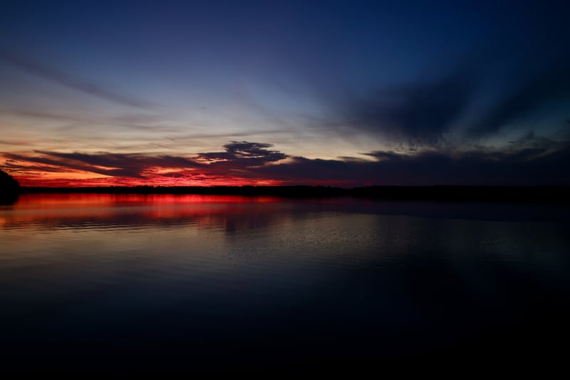 2020 photo 30