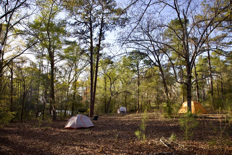 2021 photo 4