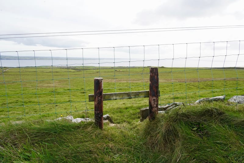 Cliffs of Moher, Ireland photo 16