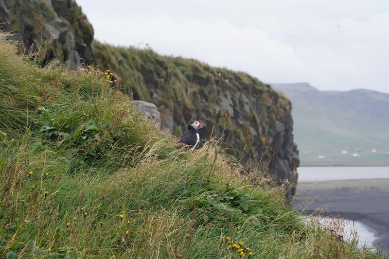 Iceland Part 1 photo 14
