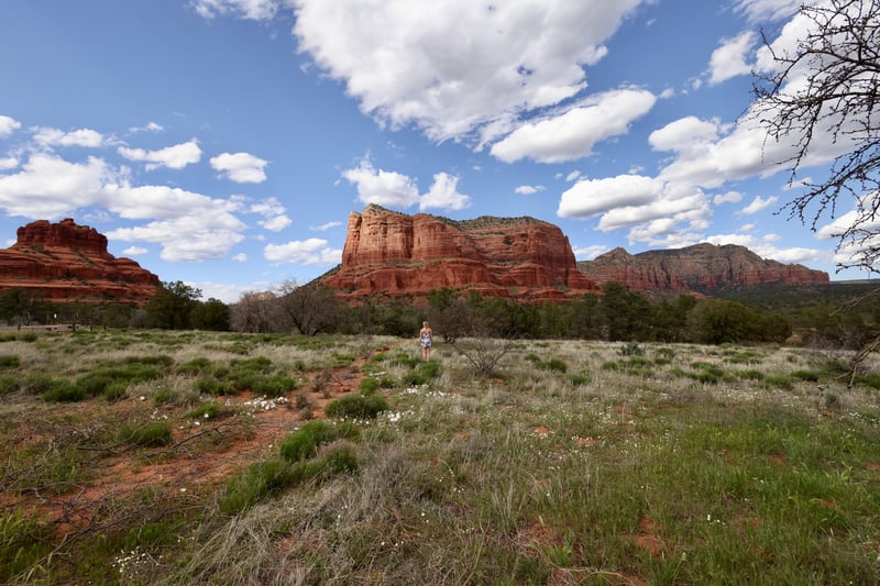 2023 in Arizona photo 8