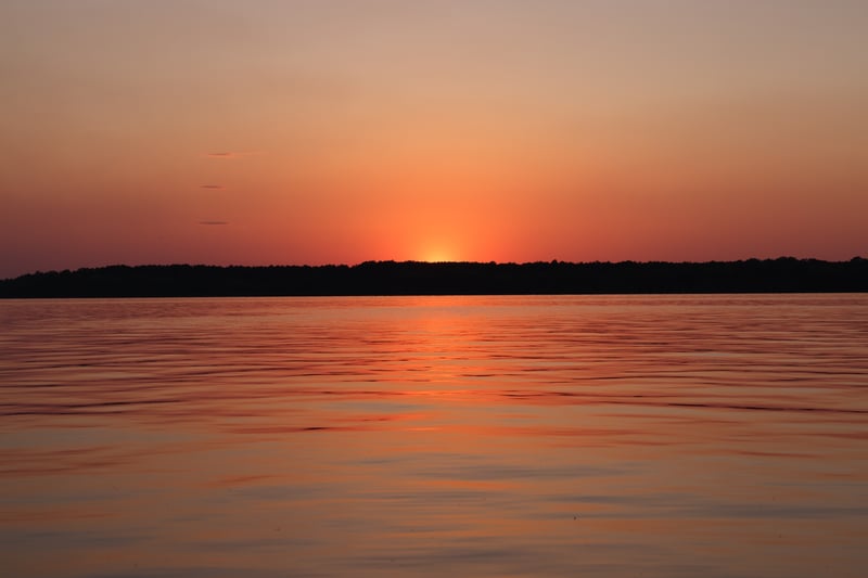 2021 photo 7