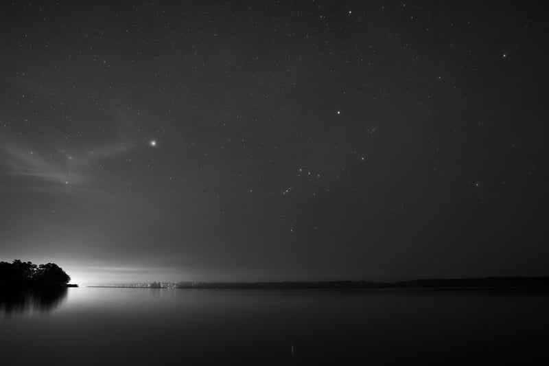 2021 photo 2