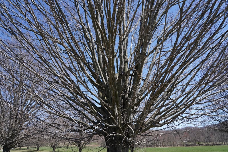 Storm King photo 4