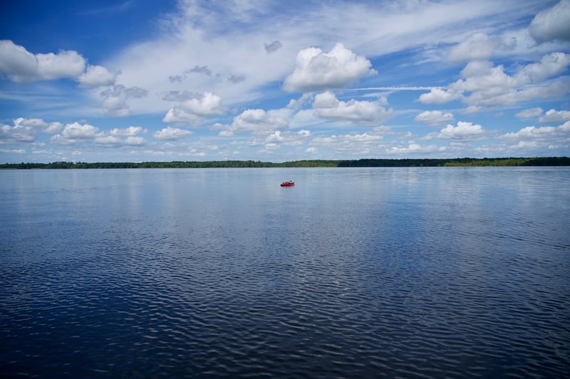 Summer 2019 photo 17