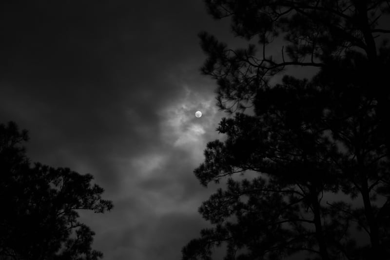 2020 photo 25