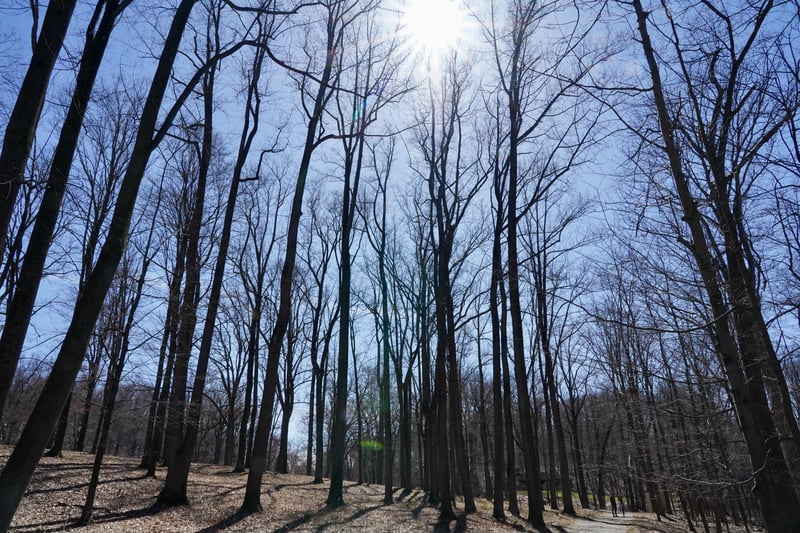 Storm King photo 17
