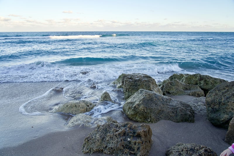 January 2019 photo 6